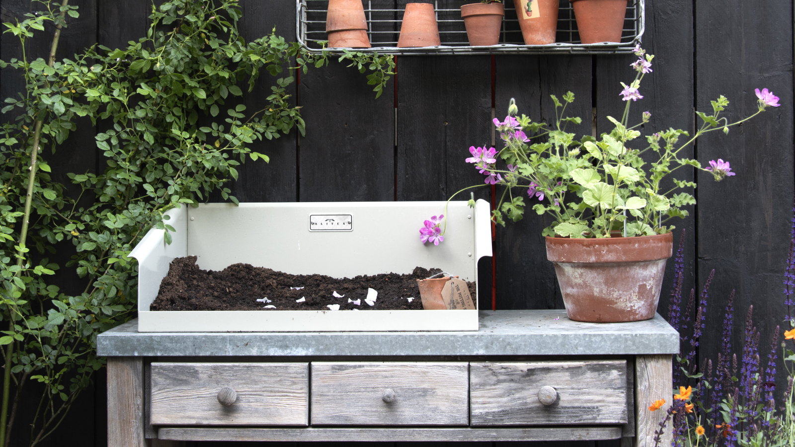 A pink flowering potted plant and compost on a rustic potting bench