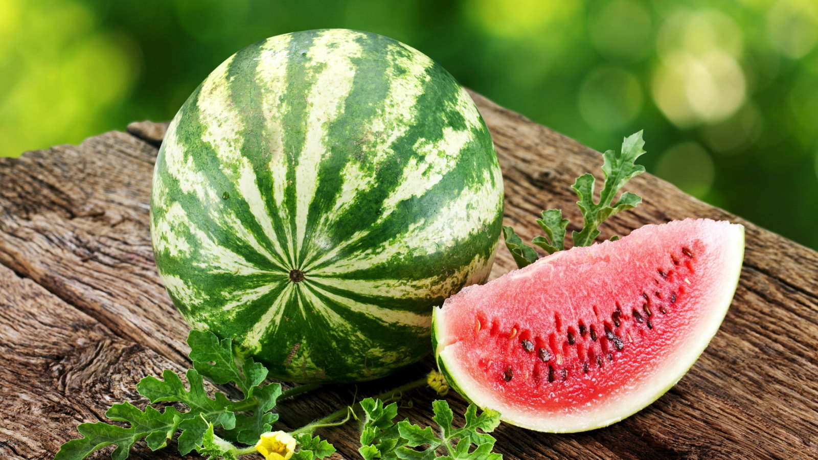 A whole watermelon and a slice of watermelon on a wooden bench