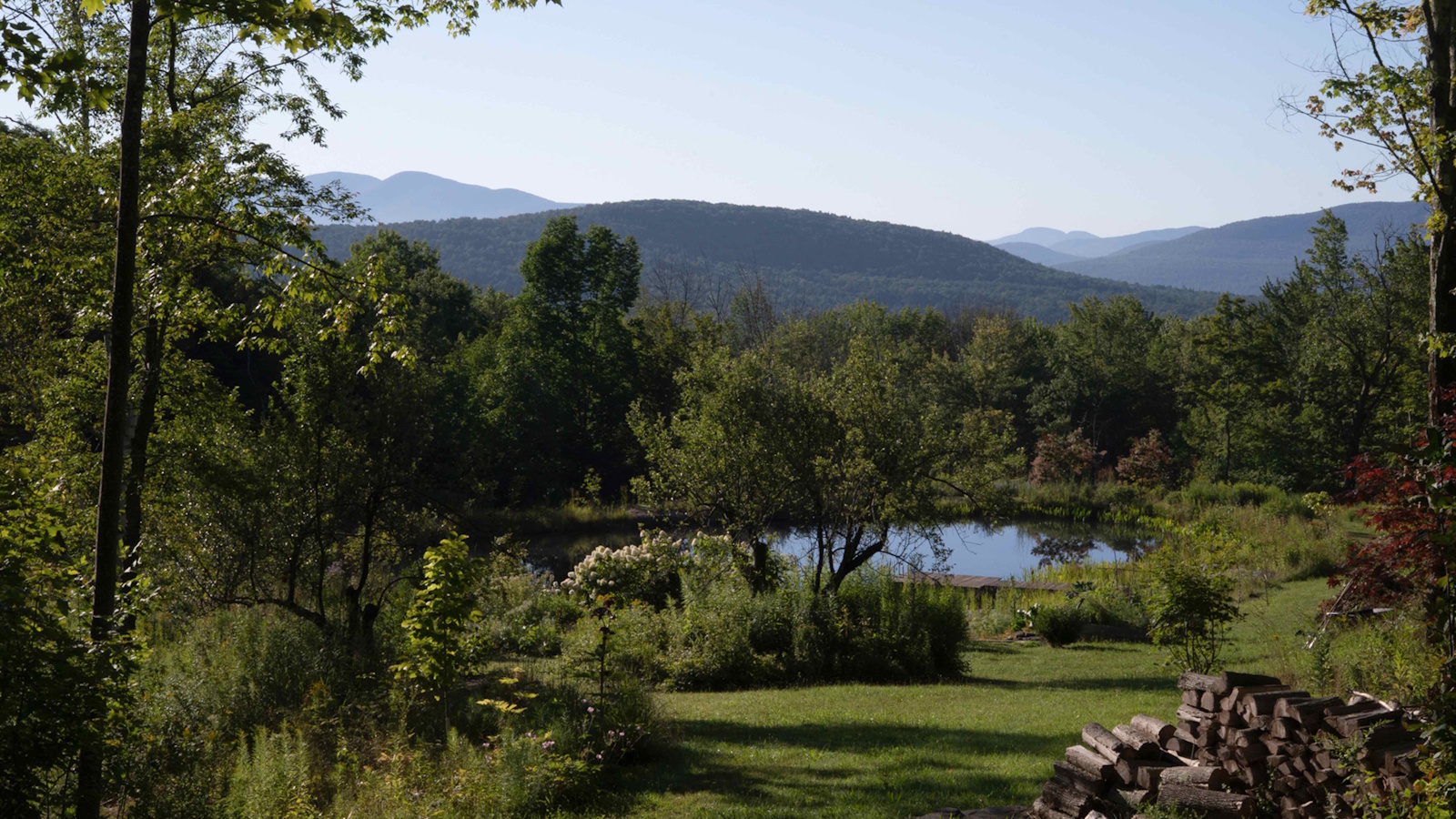 Catskills garden with mountains beyond, including a pond garden surrounded by green shrubs and trees