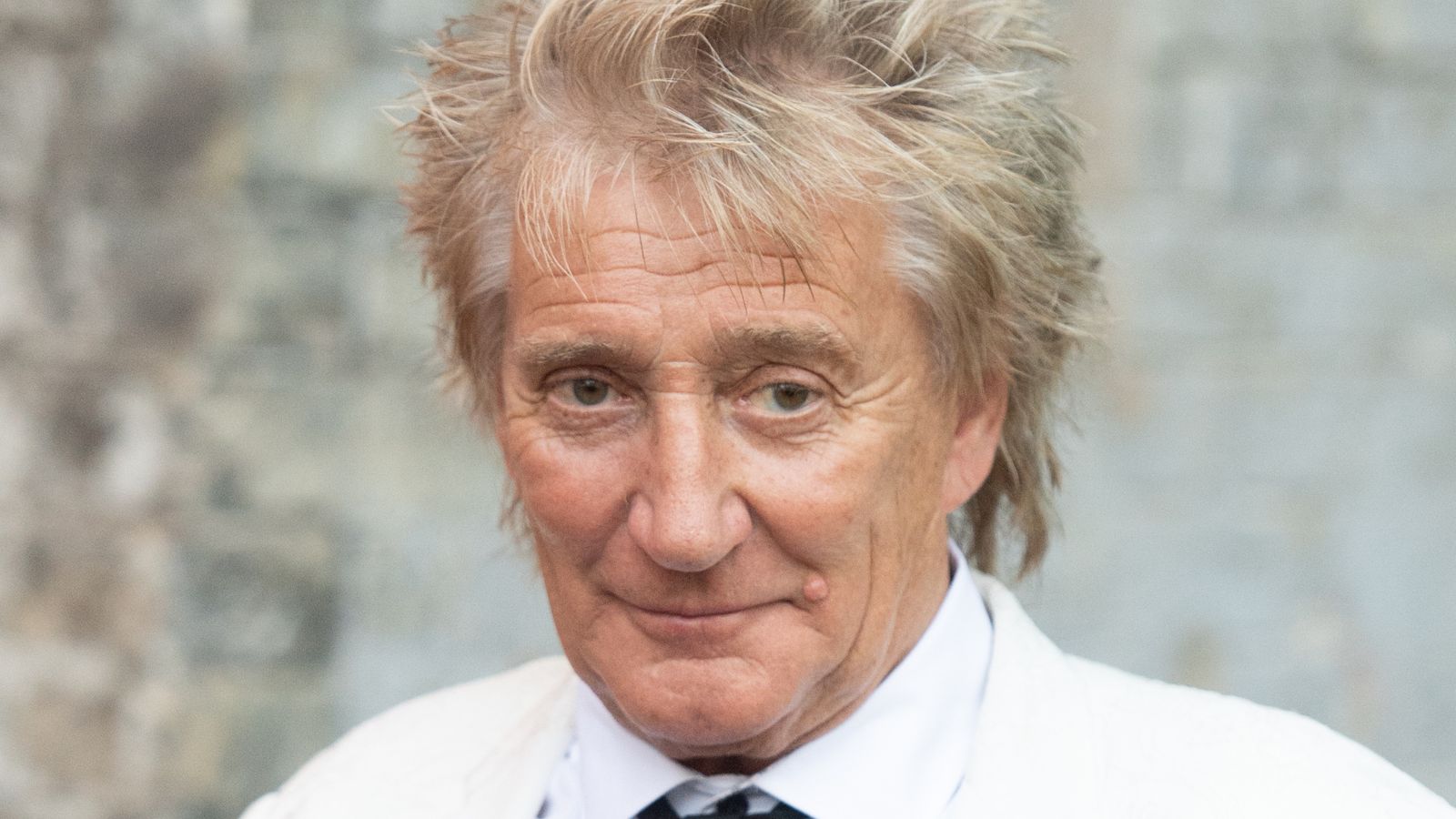rod stewart on a white background
