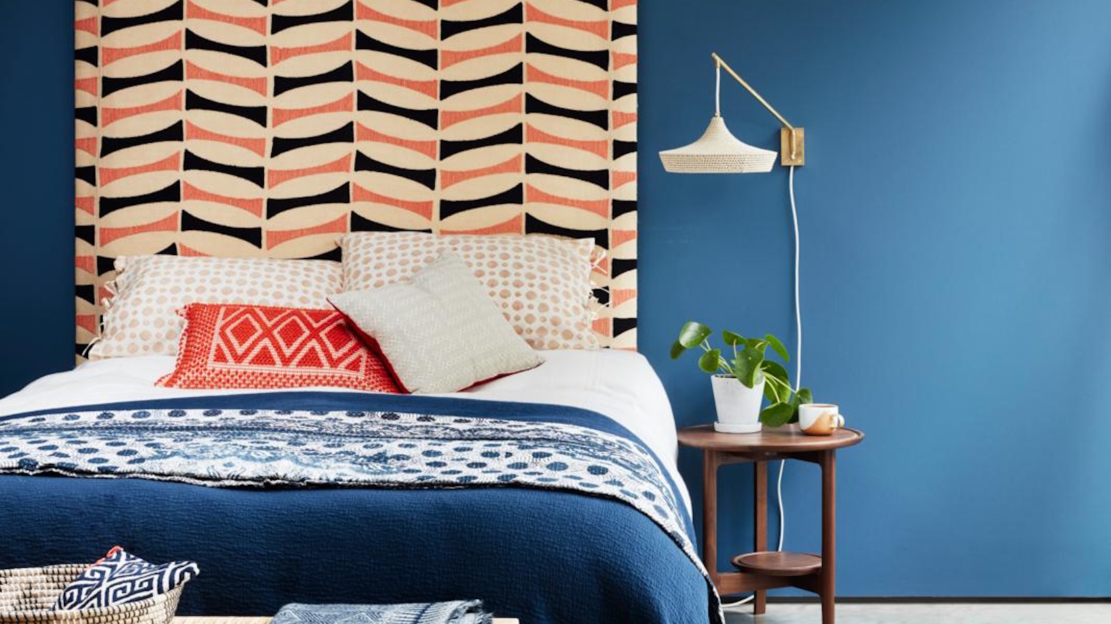 Houseplants for your dorm room