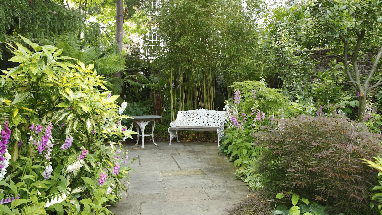 Green back garden with a white bench, surrounded by foxgloves and shrubs