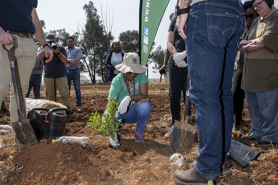 UFS launches Greener SA: planting the seeds of a sustainable future