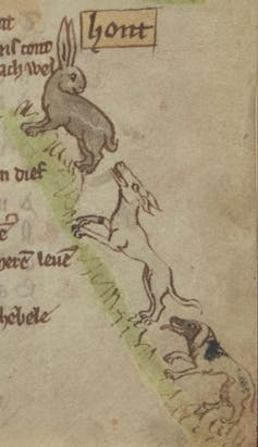 Eine Illustration einer Hasenjagd