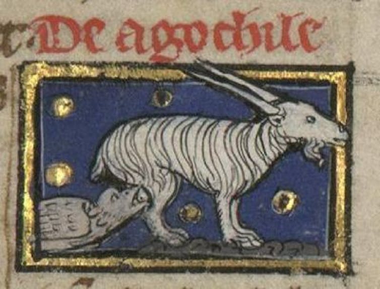 Illustration eines Vogels, der aus dem Euter einer Ziege trinkt