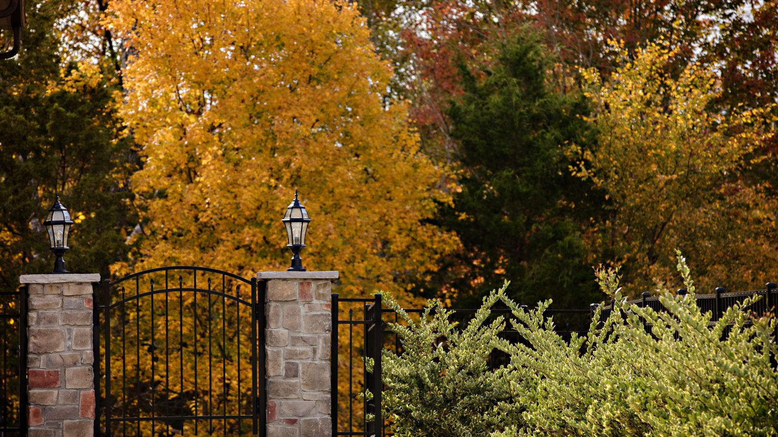 Fall driveway with shrubs