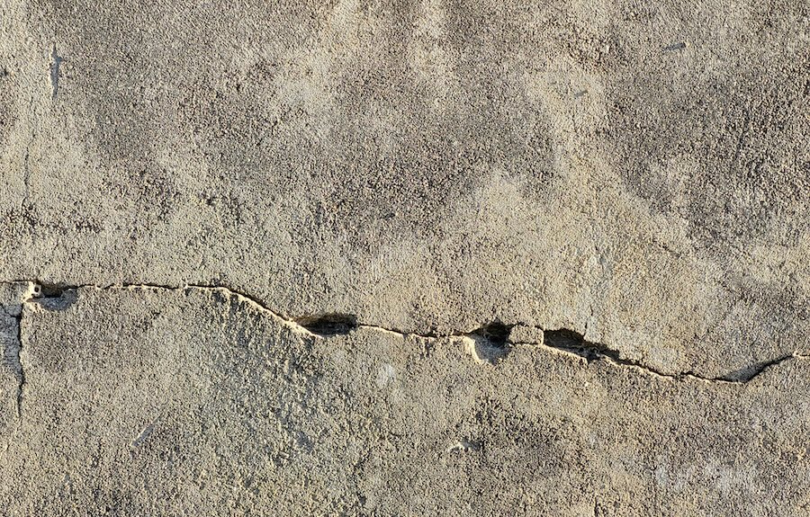 Nature at risk – report warns of evidence there's a black hole in the Planning Bill