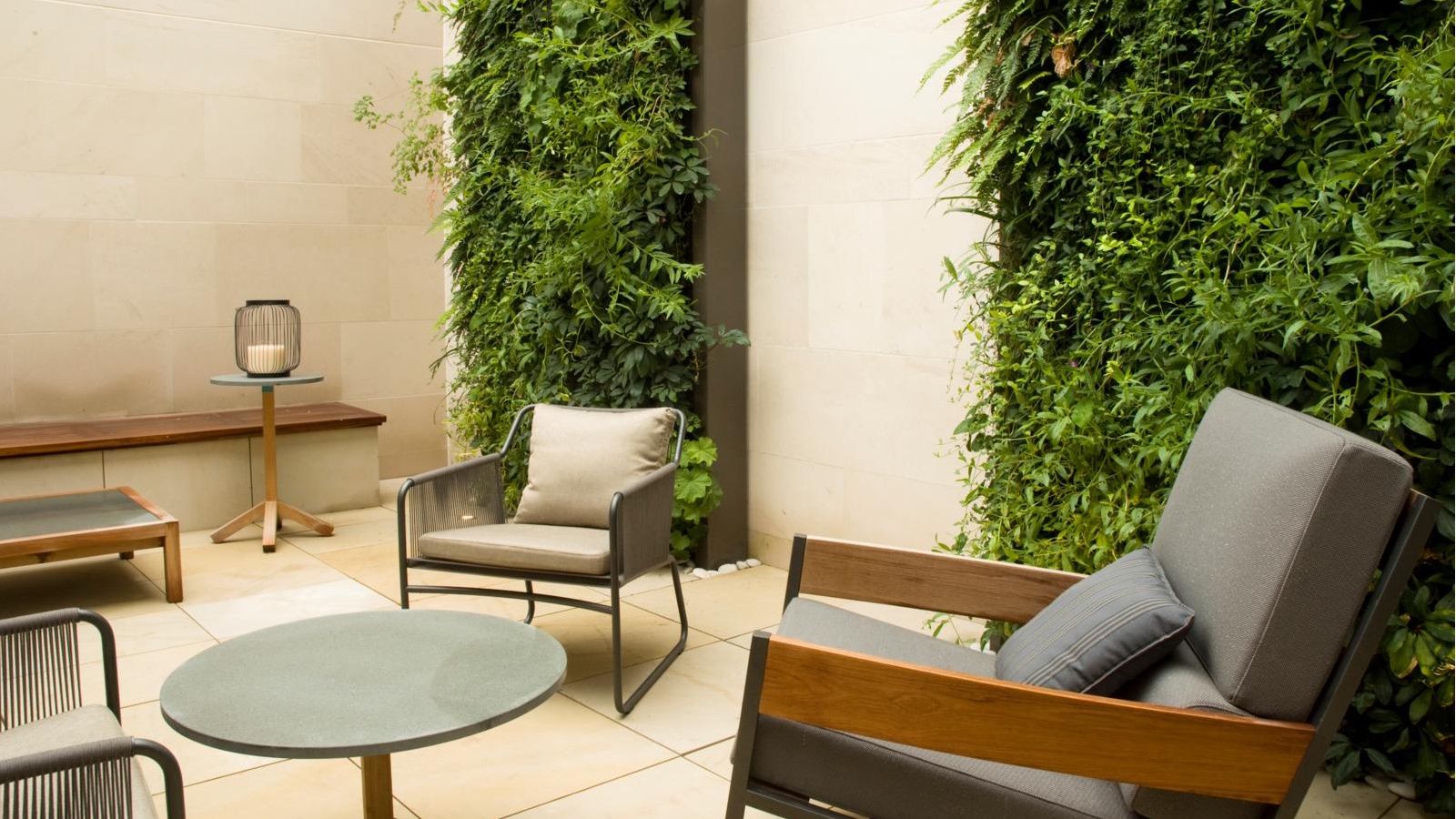 Vertical garden full of foliage