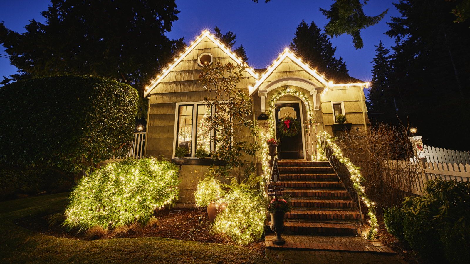 A house exterior covered in Christmas lights, plus plants adorned with festive lights