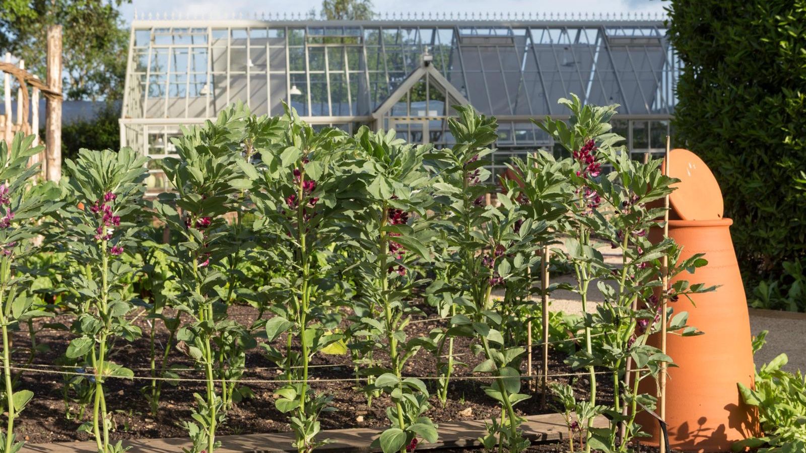 Ich habe mich in diese entzückende Gemüsesamenbank für Gartenanfänger im Wert von 30 US-Dollar verliebt – ihre 32 Erbstücksorten werden für jede Jahreszeit in Ihrer Winterhärtezone handverlesen