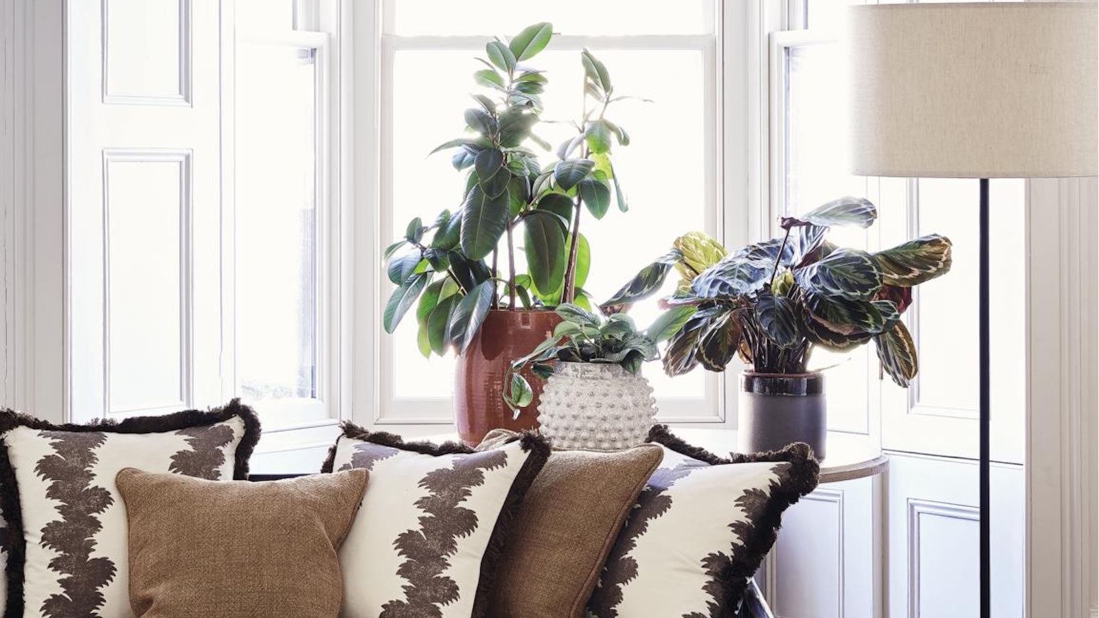 Houseplants on a windowsill with a couch in front full of brown and patterned cushions