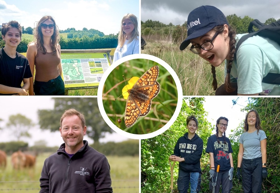 More than 200 people help to save Wales' 'stained glass window' butterfly