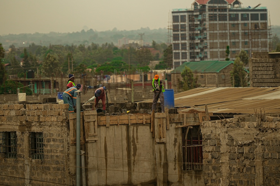Conservation leaders warn of ‘Perfect Storm’ threatening England’s wildlife and most special places