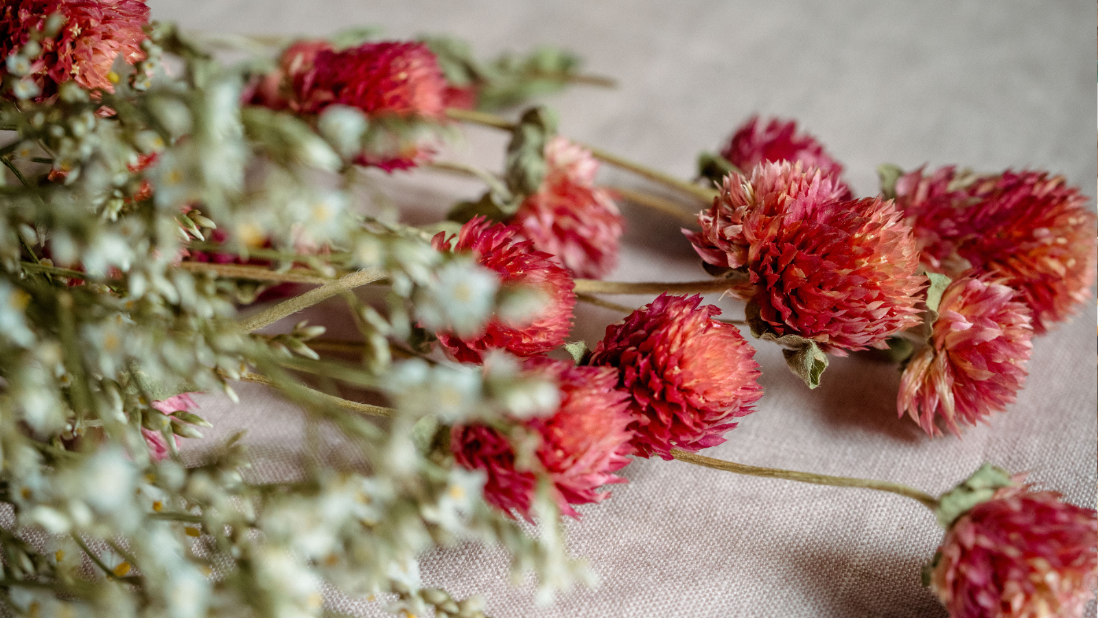 Dried pink globe amaranth and white limonium on pink linen background