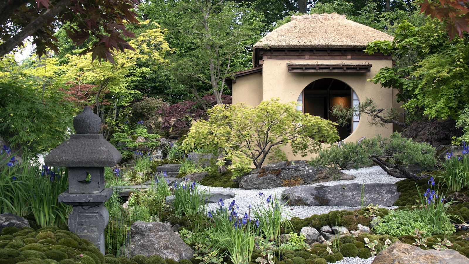 2025 Chelsea Flower Show Japanese Garden