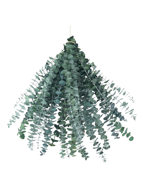 Konservierte Duschstiele aus Eukalyptus 