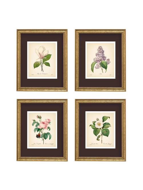 Set mit 4 botanischen Vintage-Drucken