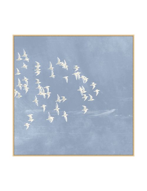 Blue Day Flight 2 Druck