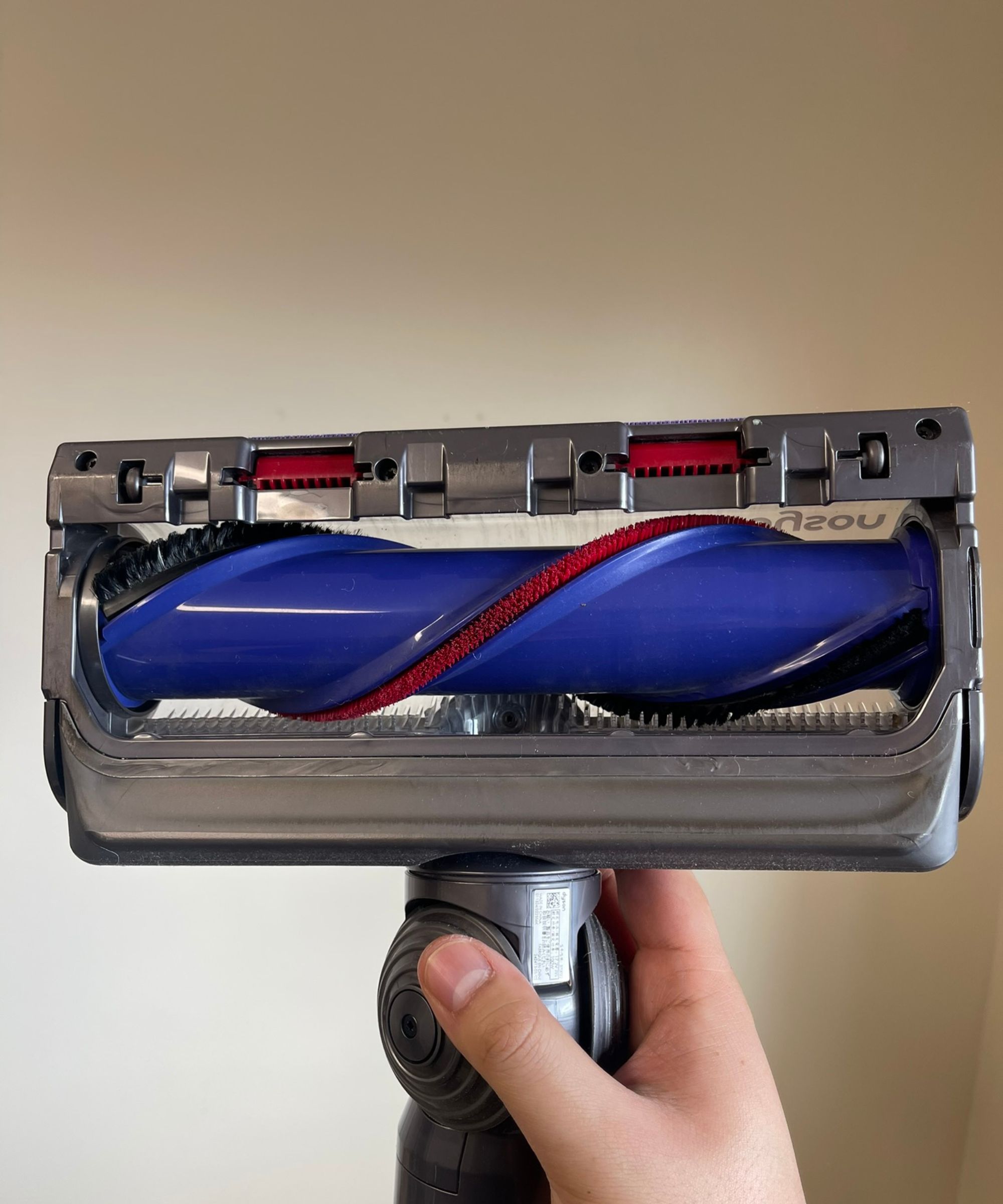 Dyson V15 Detect Digital Motorbar Bodendüse ohne um die Bürstenwalze gewickelte Haare im Bristol Animal Rescue Center