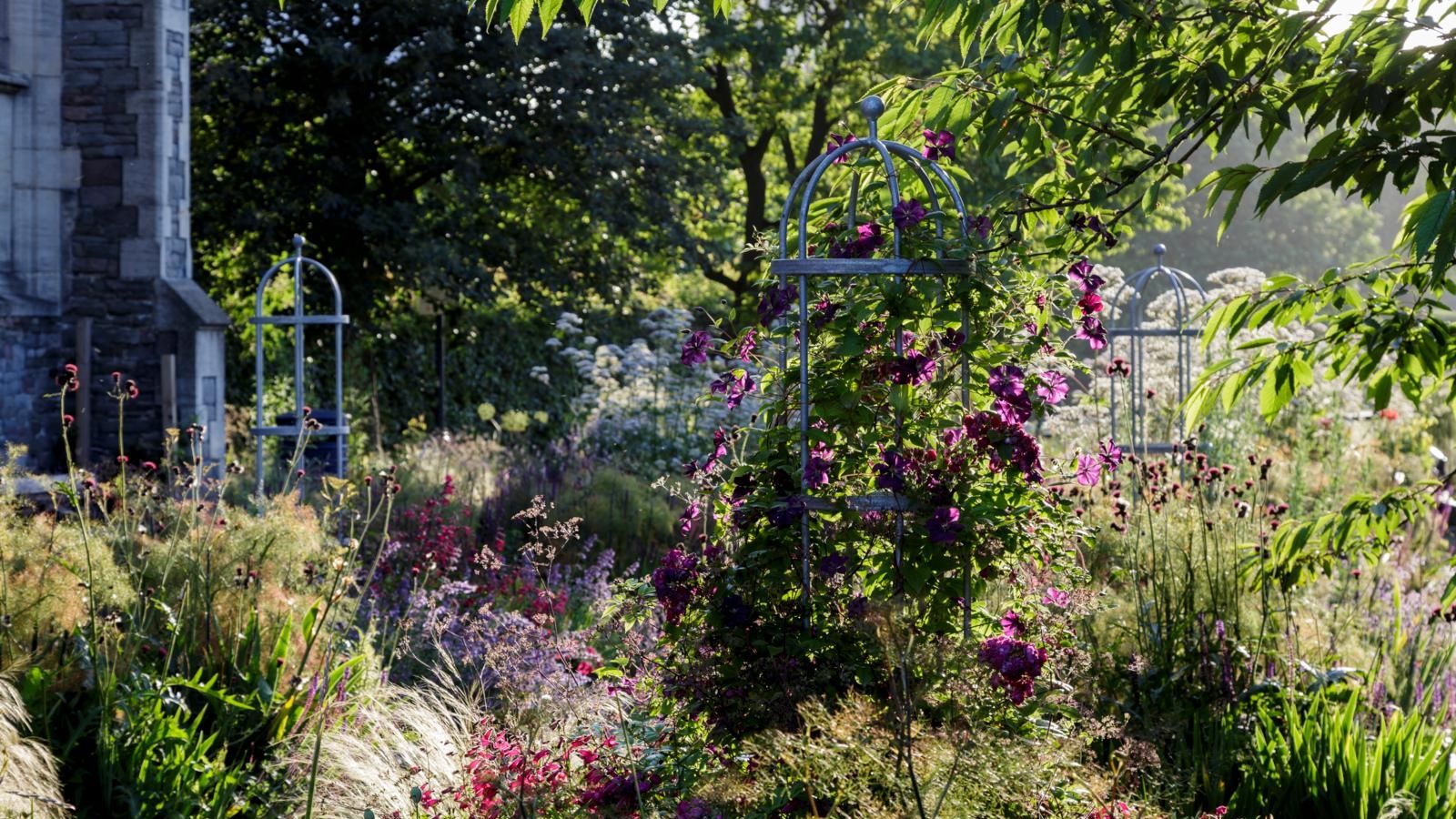 Flower border full of blooms and climbing plants