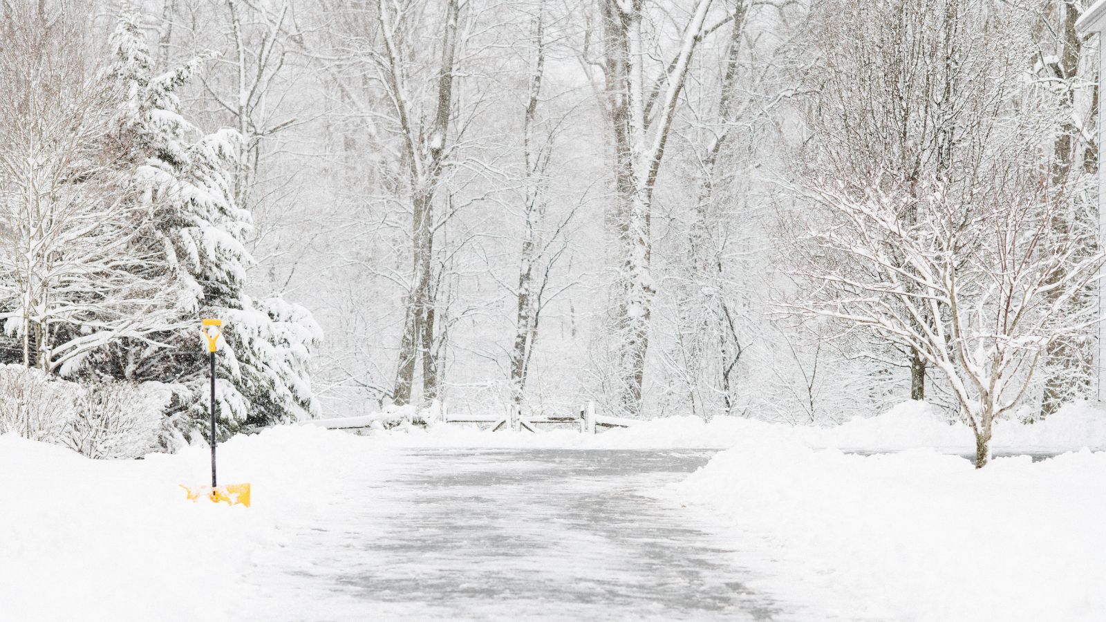 Snowy driveway