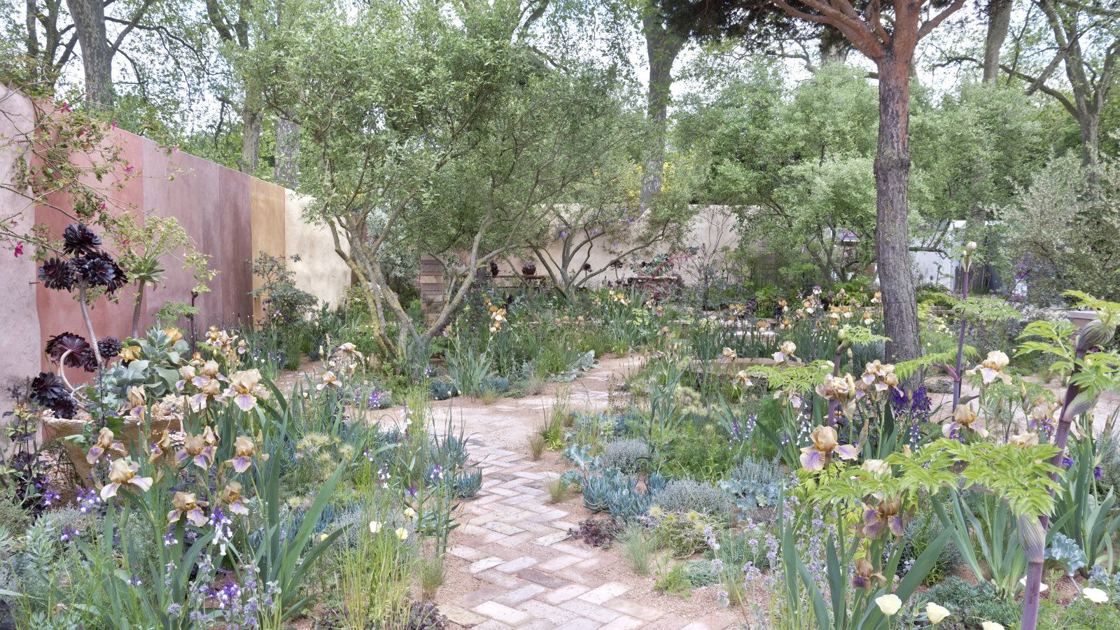 A Mediterranean garden with brick paving, trees, shrubs, and perennials, including irises, at the Chelsea Flower Show