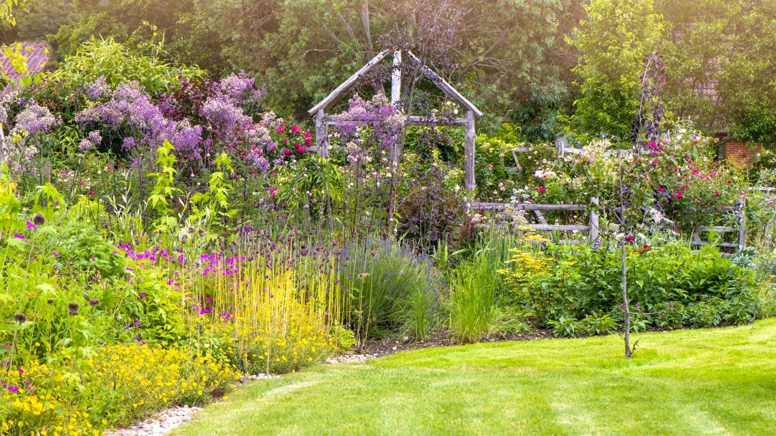 A garden in the sunshine with a border in full bloom