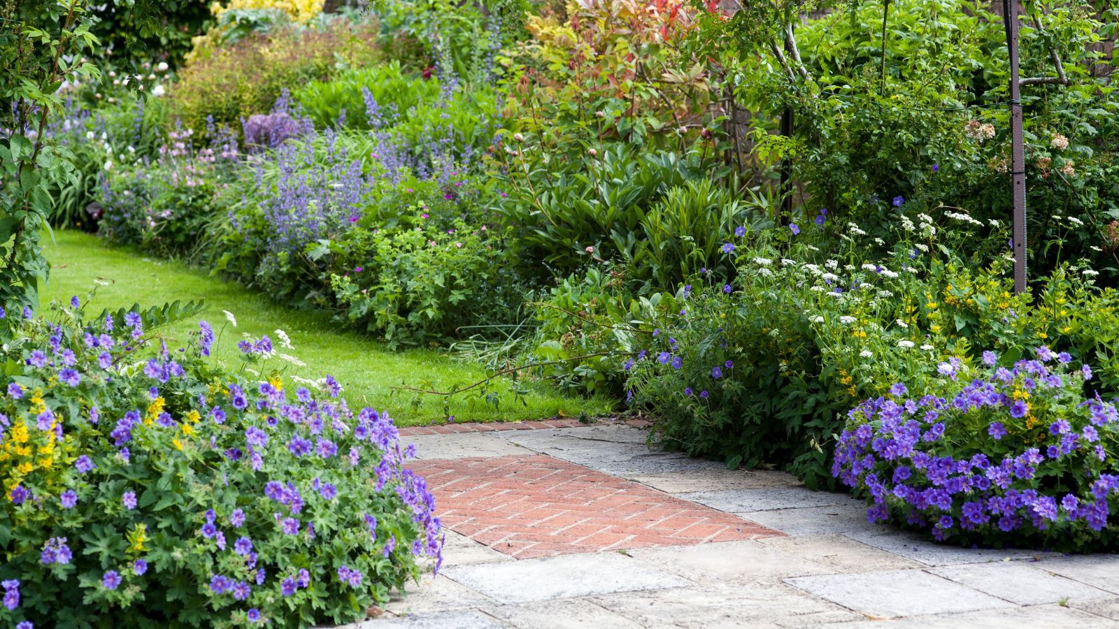 Small lawn with floral borders and patio pavers