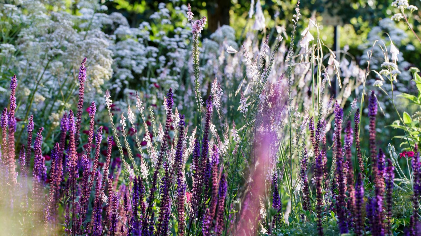 Wie man Maisstärke im Garten verwendet