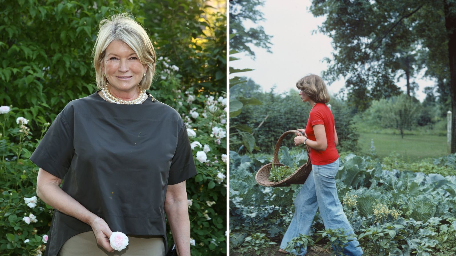 Martha Stewart gardening