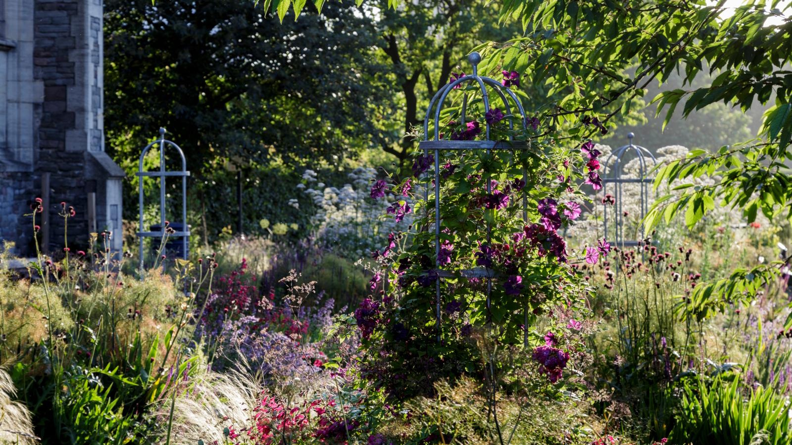 Wie man Olivenöl im Garten verwendet