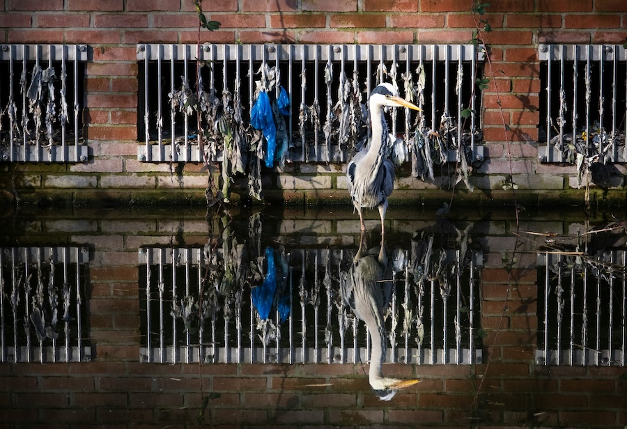 England Sees Drop in Untreated Sewage Discharges, but Pollution Remains a Crisis