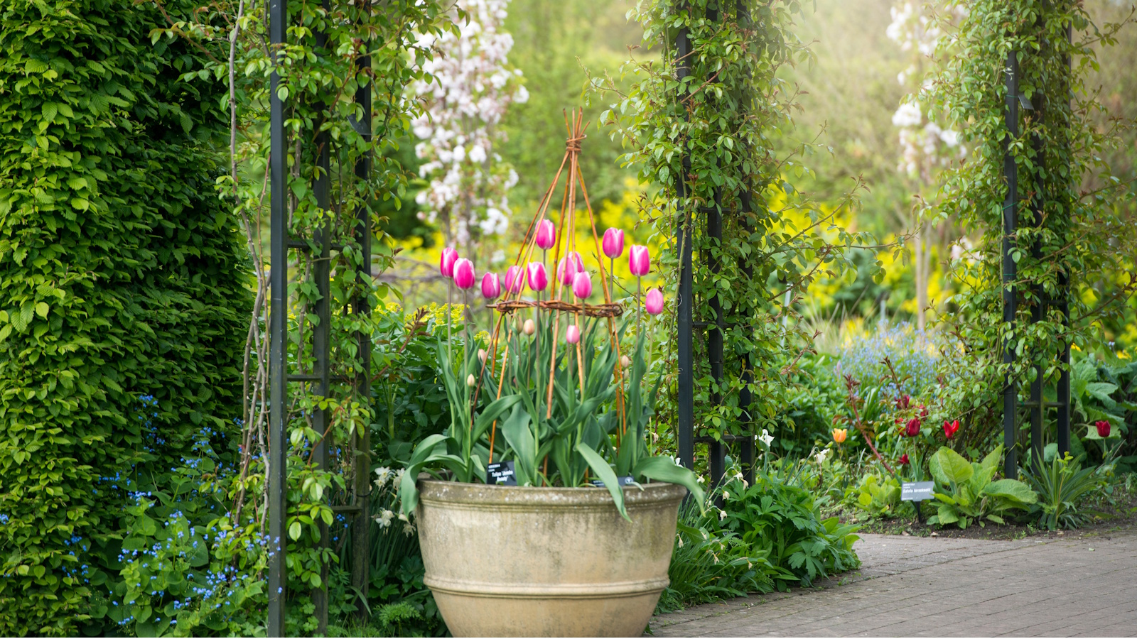 Was Sie niemals verwenden sollten, um den Boden eines großen Pflanzgefäßes zu füllen