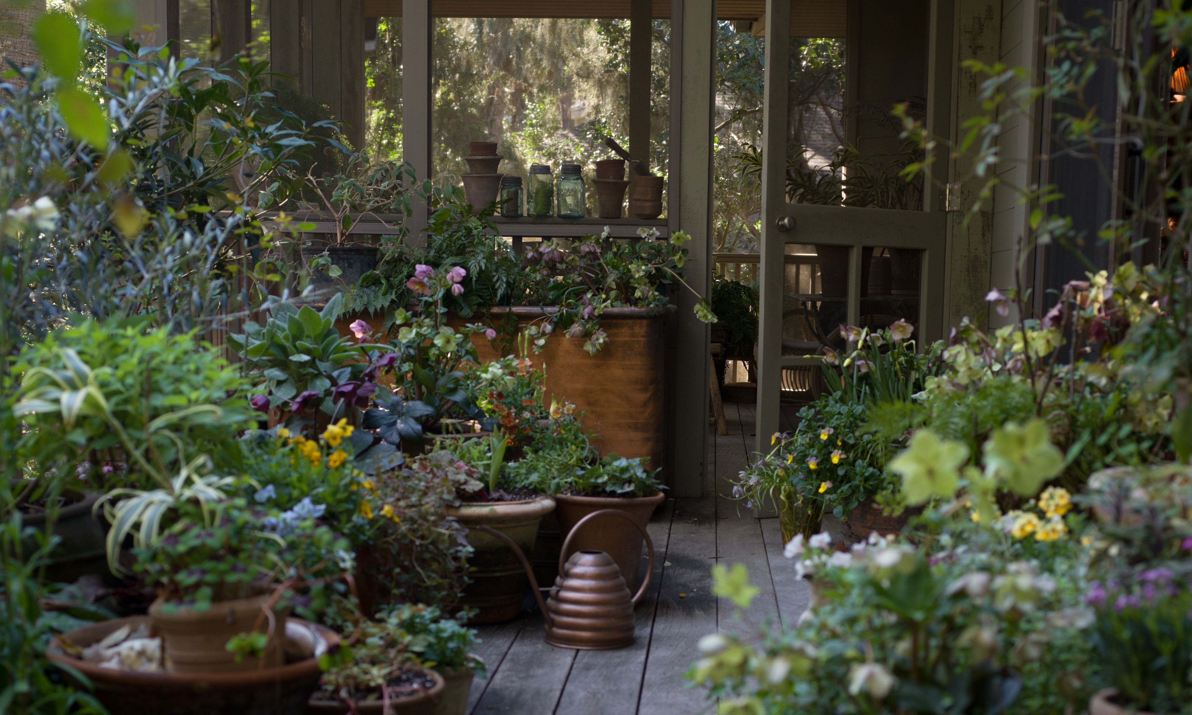 Lucy Hunters Garten in Charleston