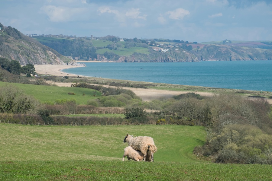 Oxford Real Farming Conference (ORFC) 2026 – Oxford, UK