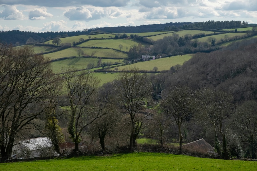 Trail Hunting Ban Proposed in England and Wales