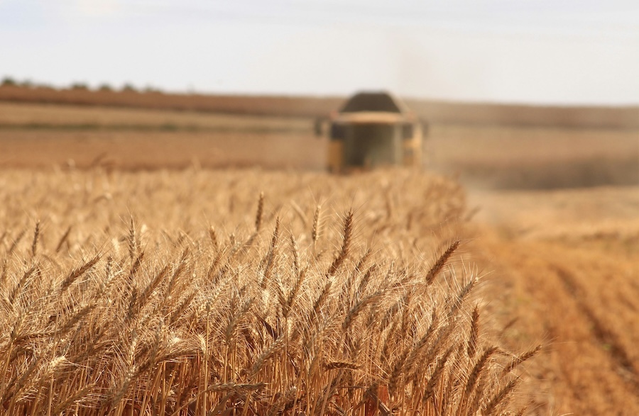How the war in Iran is already affecting UK farmers and food production