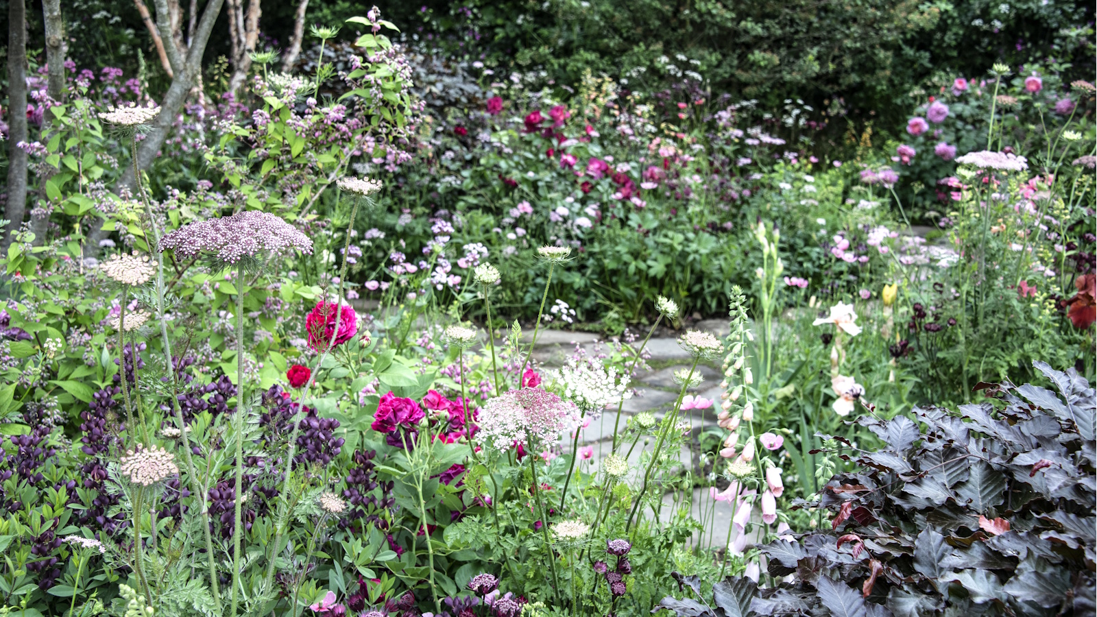 Was es bedeutet, Fledermäuse im Garten zu haben