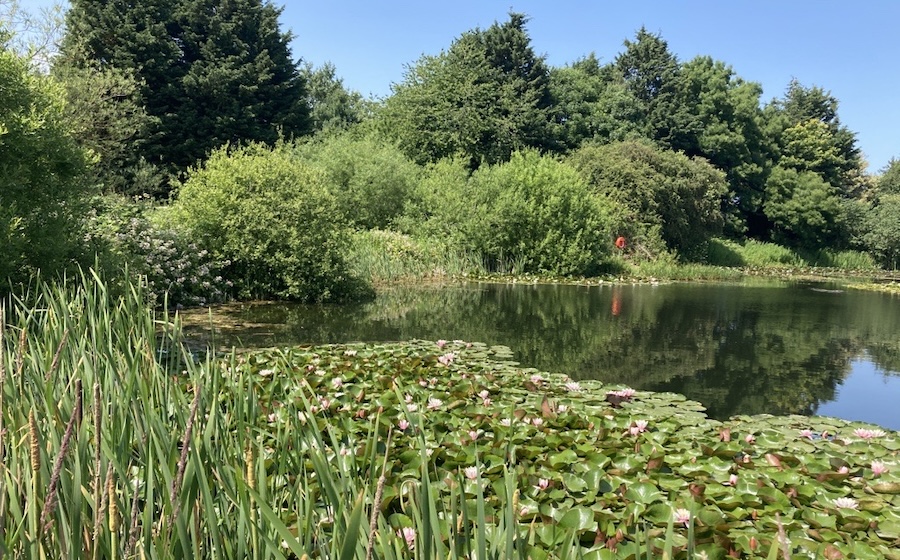 Two Years On: Meadfleet Supporting Developers to Deliver Biodiversity Net Gain