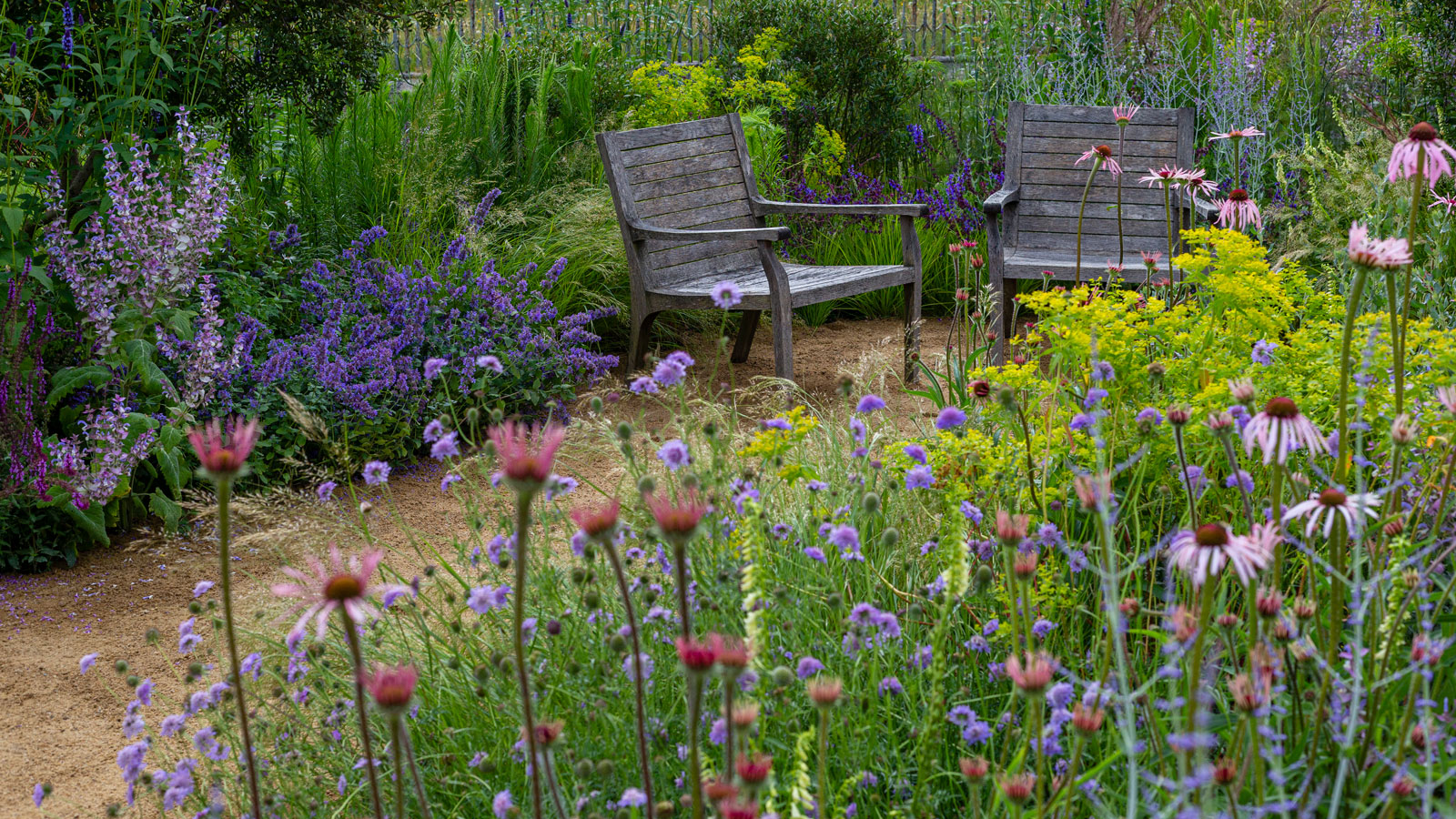Blumengarten mit Achillea, Echinacea, Monarda und anderen mehrjährigen Pflanzen, mit Kiesweg und Gartenstühlen aus Holz