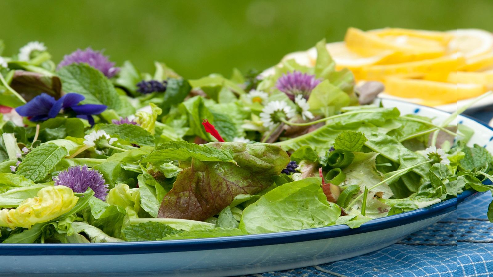 Essbare Sommerblumen