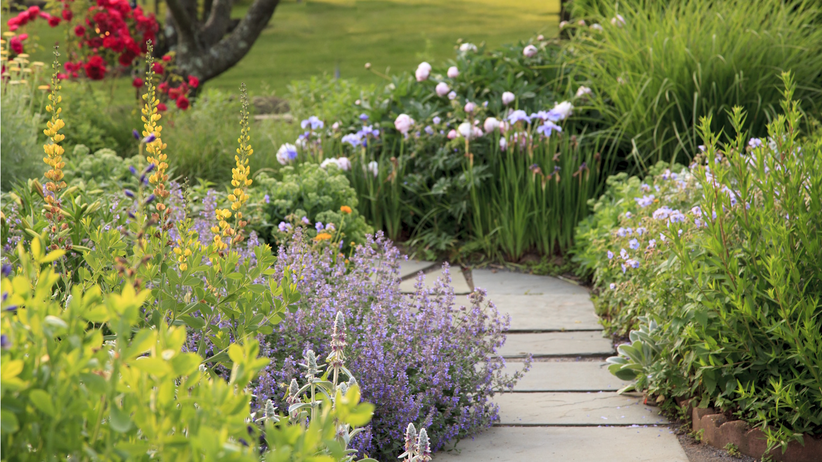 Gartenweg mit reichlich blühender Bepflanzung