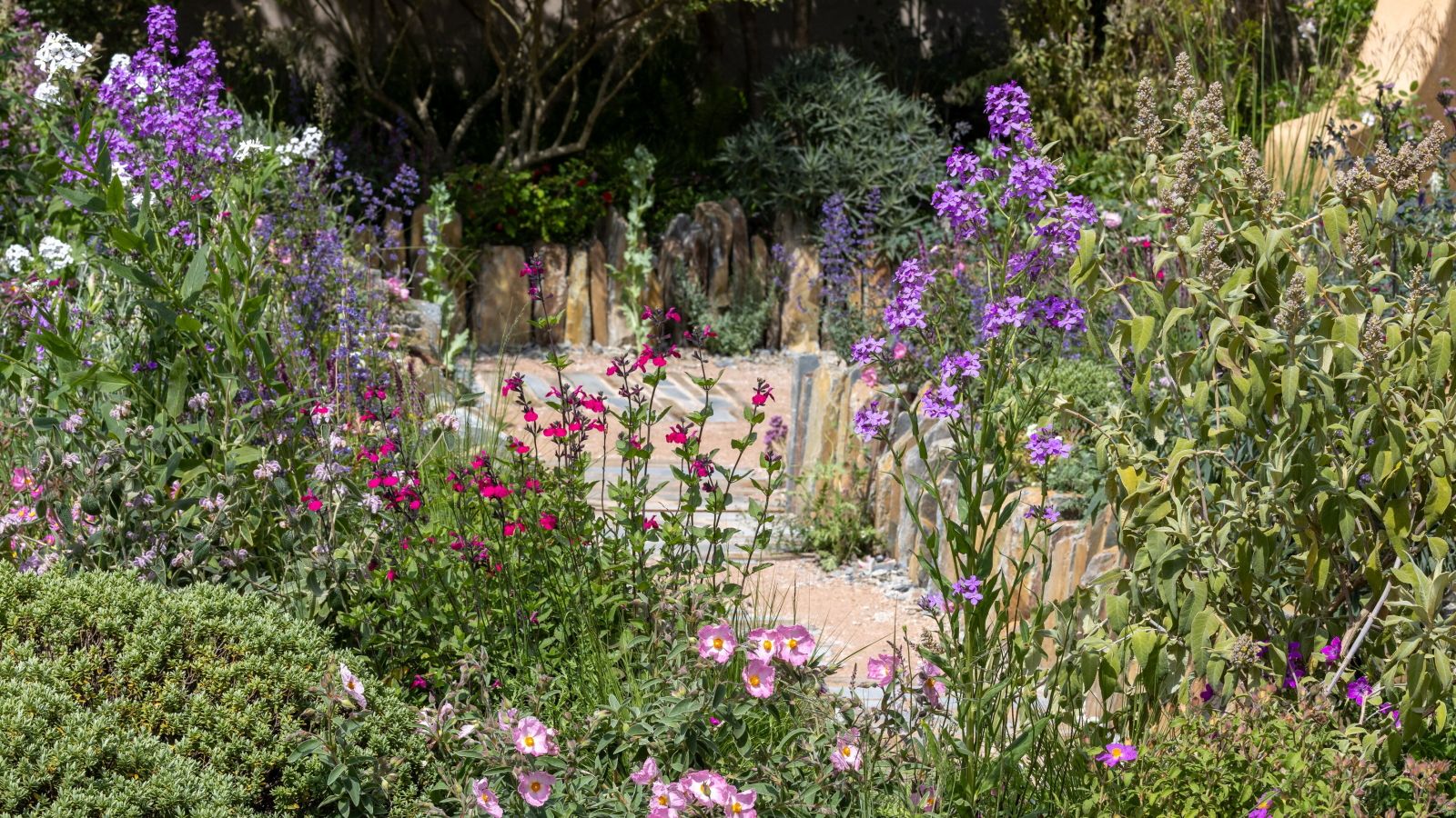 The Lady Garden Foundation ‘Silent No More’ Garden at the RHS Chelsea Flower Show 2026