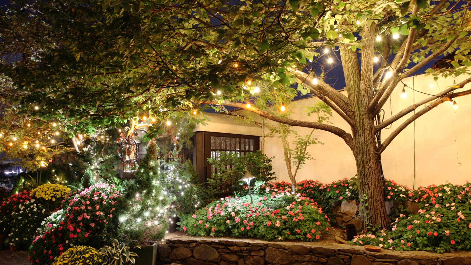 Garten mit Blumen und großem Baum, beleuchtet durch Lichterketten