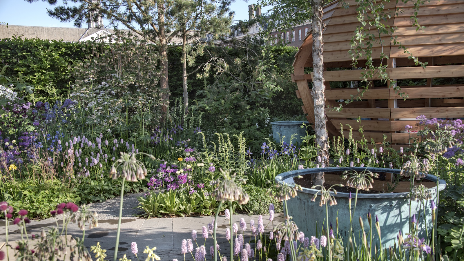 Down-Syndrom-Scotland-Garten auf der RHS Chelsea Flower Show 2025, entworfen von Nick Burton und Duncan Hall