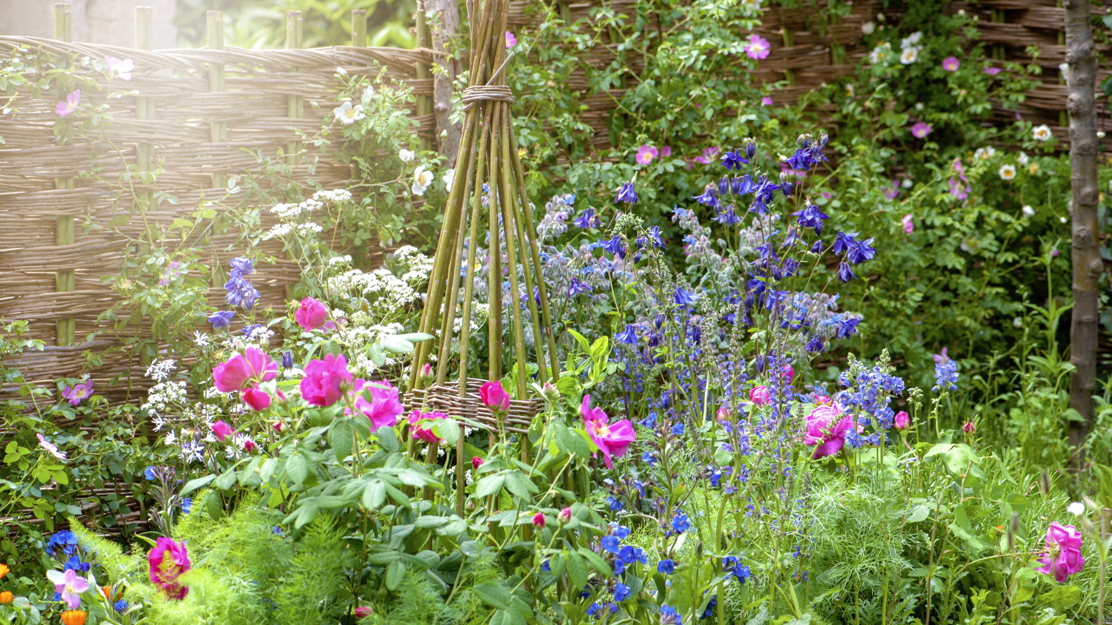 Ein englisches Blumenbeet für den Bauerngarten mit einer Pflanzenstütze aus geflochtenem Korbgeflecht