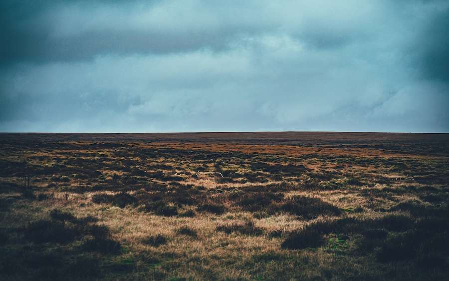 Moorland burning for upland management is exposing millions to unsafe air pollution levels