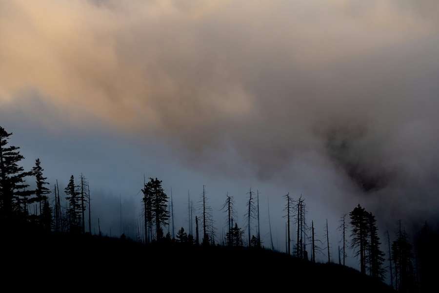 Wildfire risk is now spreading to cool climates like the Scottish Highlands and Irish uplands
