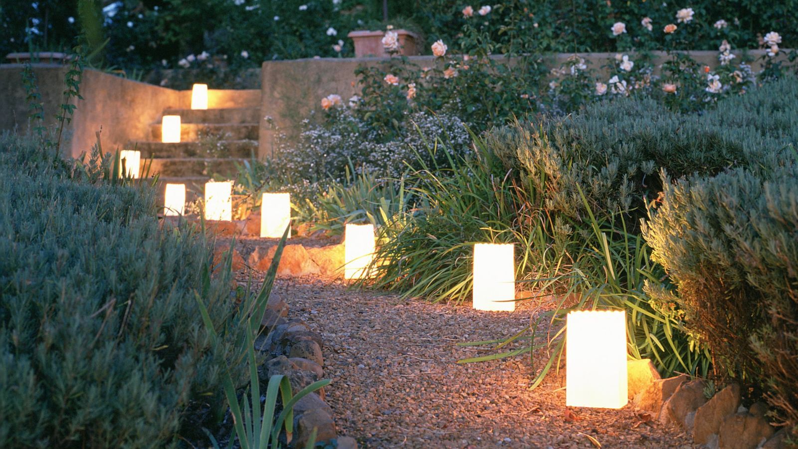 A garden path lit with lanterns