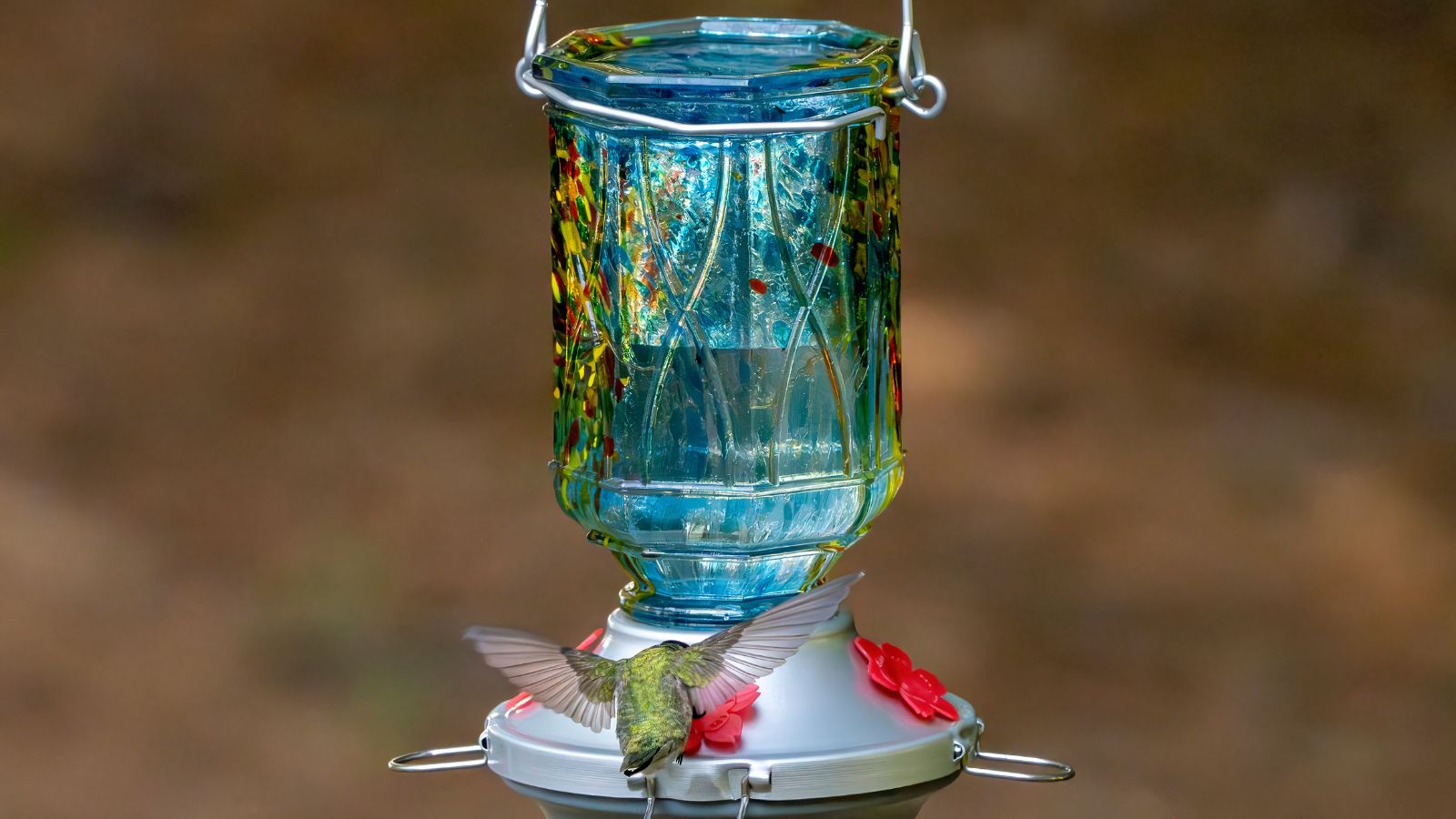Kolibrifütterung aus blauem Glasfutterspender mit silberner Basis